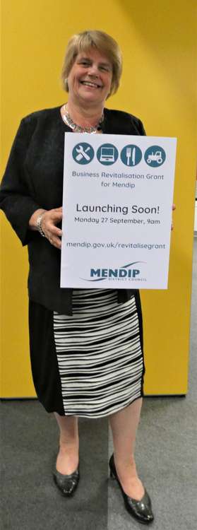 Leader of Mendip District Council Cllr Ros Wyke says helping businesses is a key priority for the council