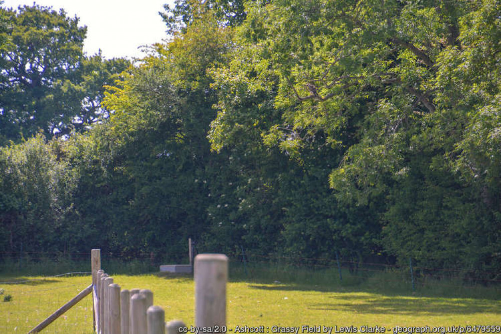 The area of land where the shepherd's hut was proposed