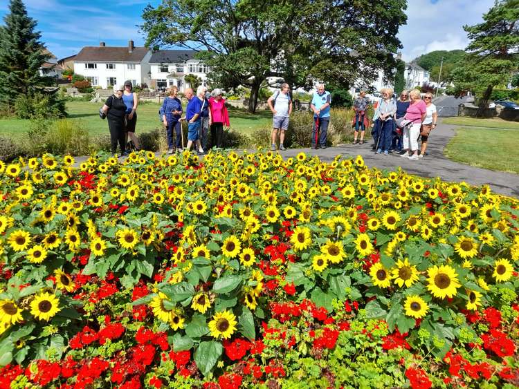 Taking in a floral display