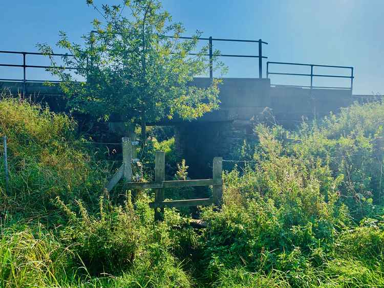 Dipping down underneath the railway