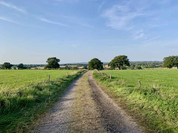 Follow the Sandstone Trail through the fields