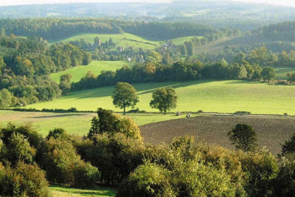 Newlands Corner.