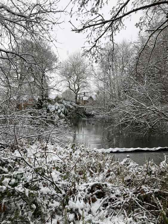 Broadwater Lake.