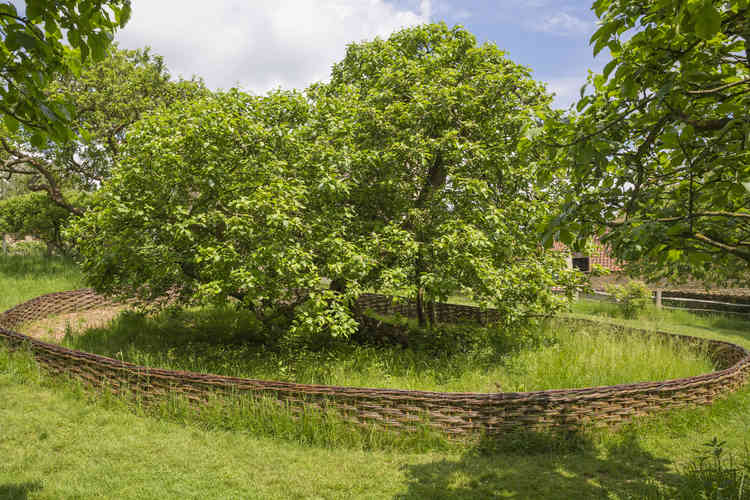 Courtesy of National Trust Images/James Dobson