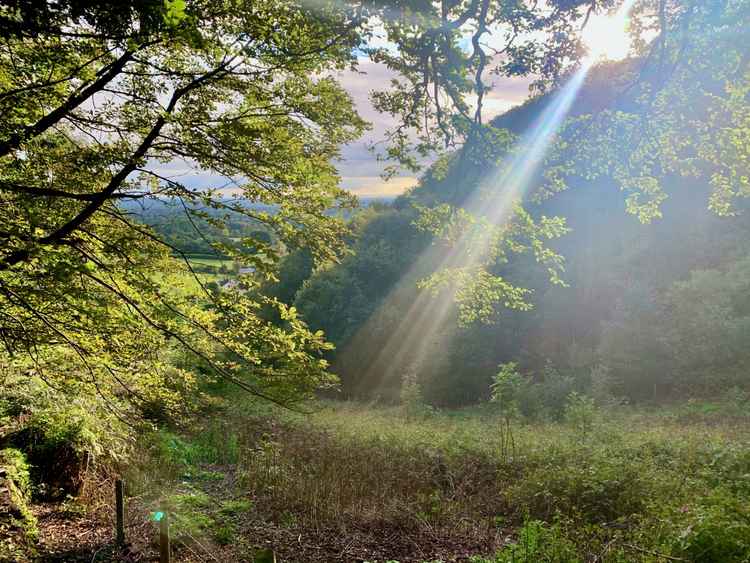 This walk is perfect for an autumn day