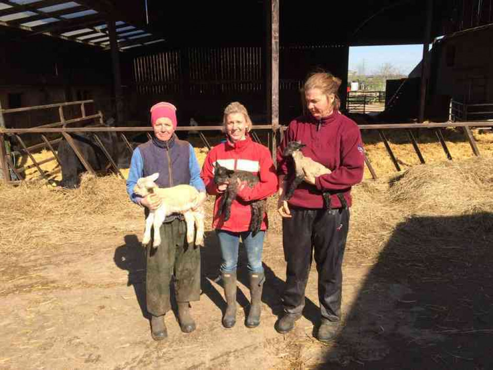 l-r Kate, Susan and Liz Genever at lambing time