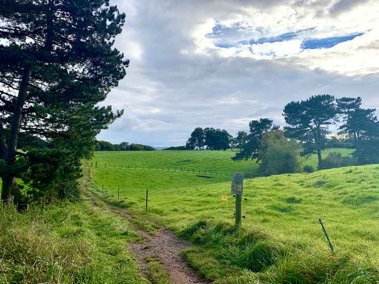 Kelsborrow Castle fields