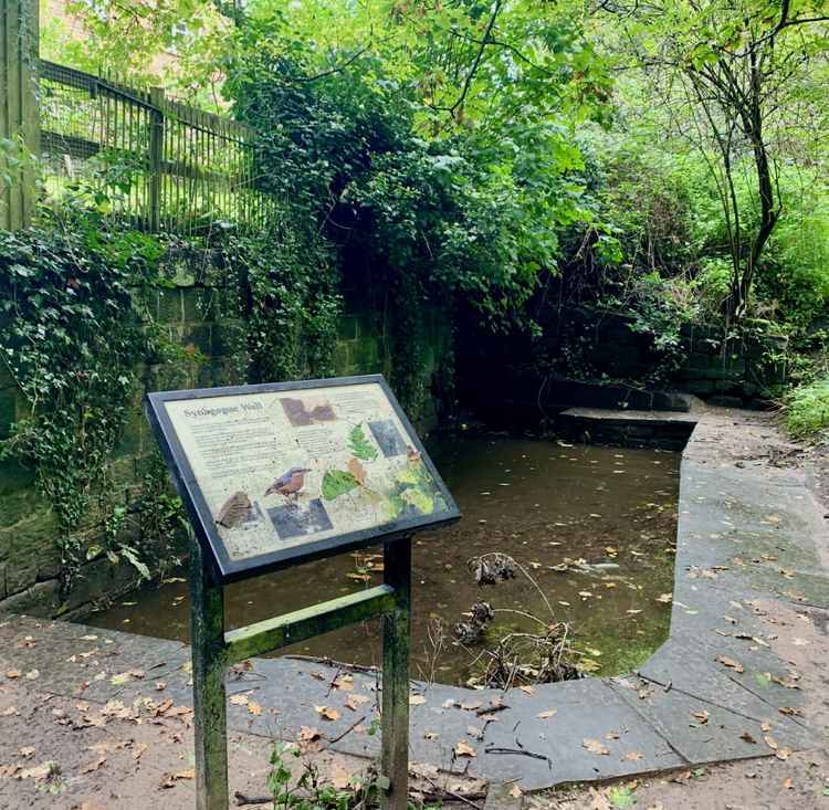 Synagogue Well today