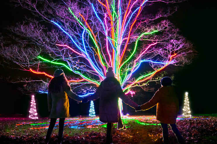 Neon Tree by Culture Creative, My Christmas Trails 2020. Photo by Richard Haughton © Sony Music