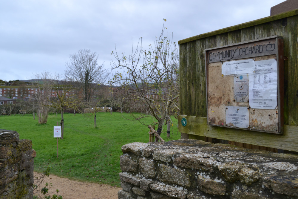 Mayfest will take place in Bridport Community Orchard on May 2