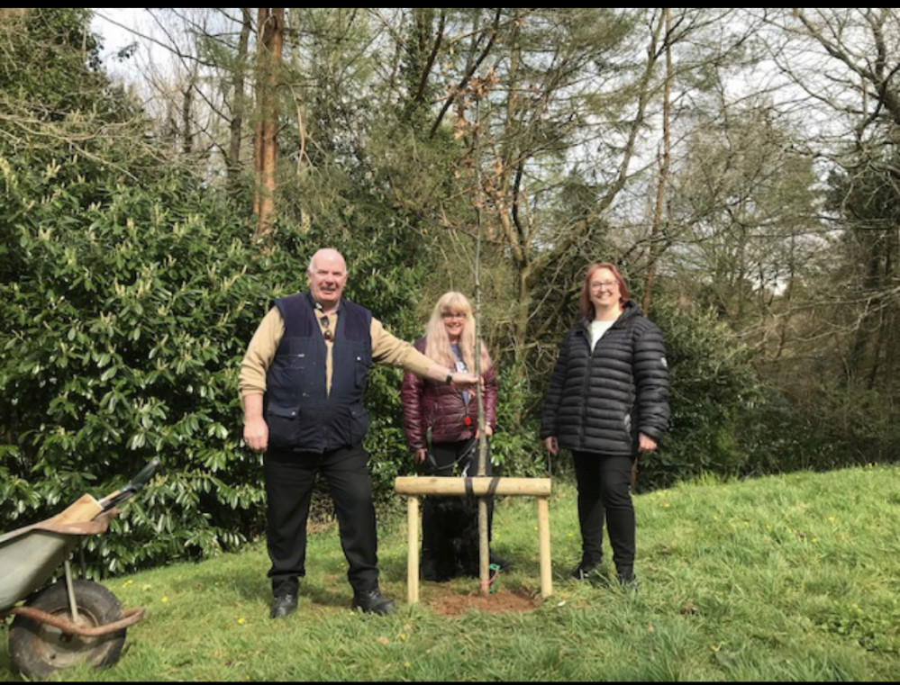 Cllr Tony McCollum, Mrs Fran Keene,  and Cllr Kate Cloke planted an oak tree in The Glen. 