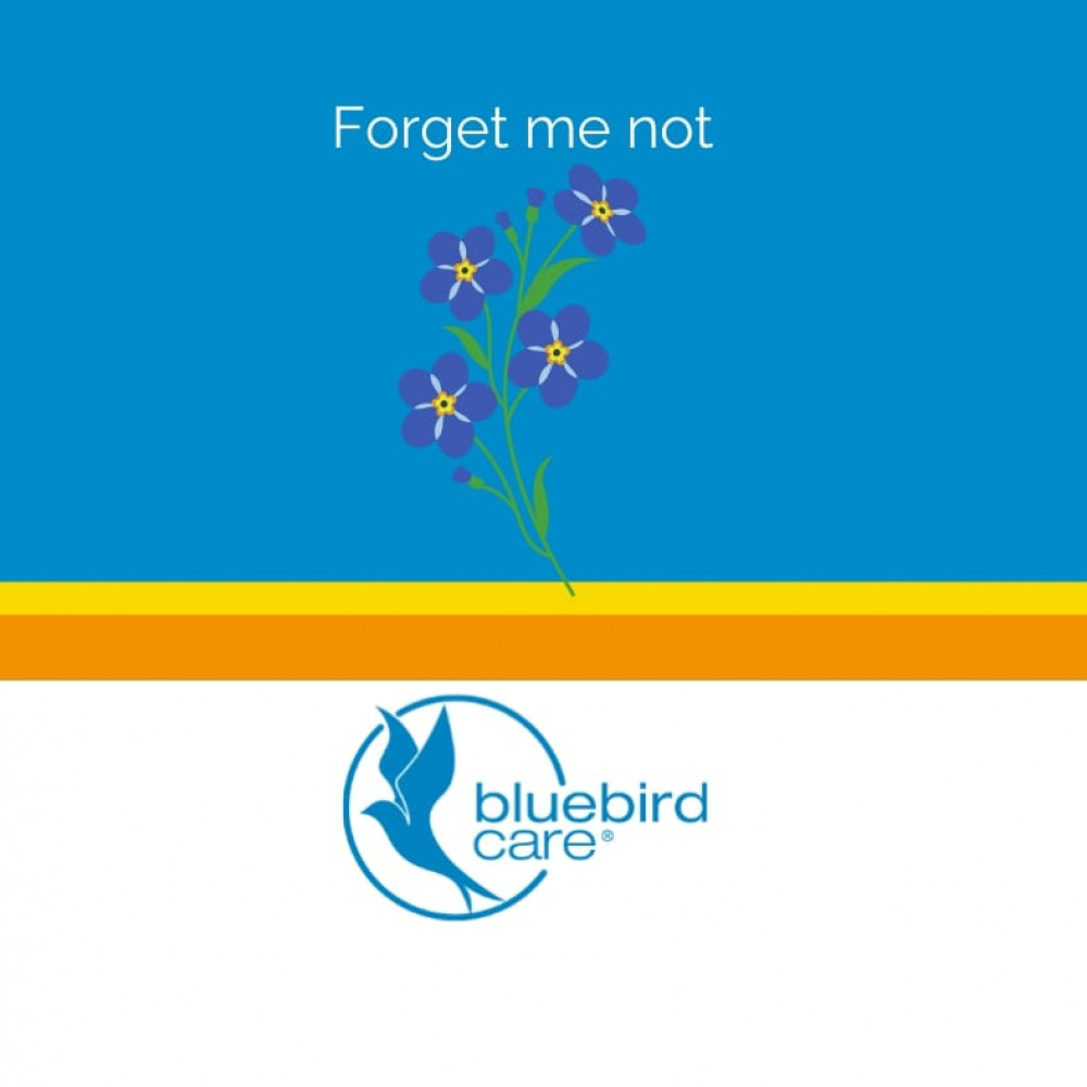 A community Hub in Cowbridge every Thursday and Friday, 2-4pm. (Image credit: Bluebird Care Cardiff South and The Vale)