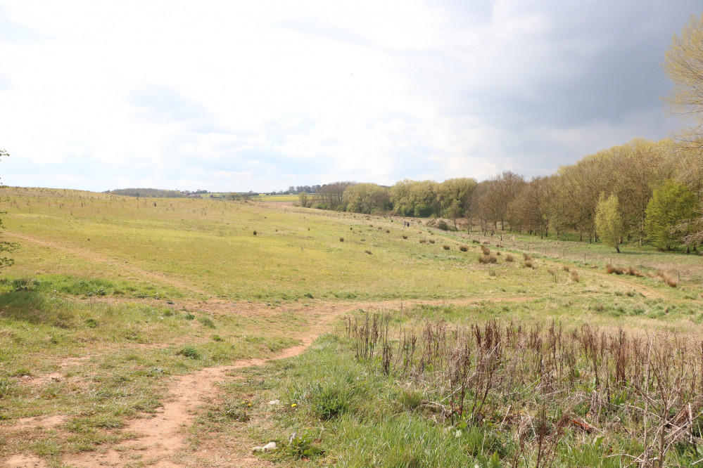 Plans for Tachbrook Country park were submitted at the end of March (Image via WDC)