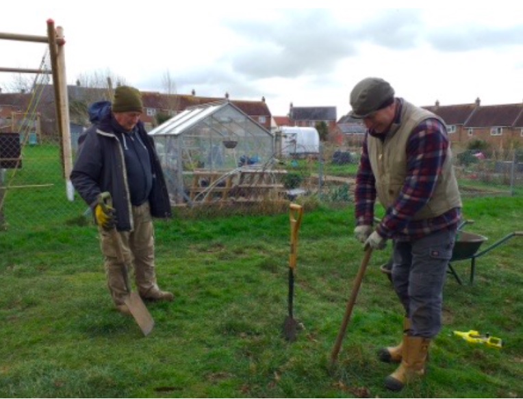 Planting of the trees and new screening