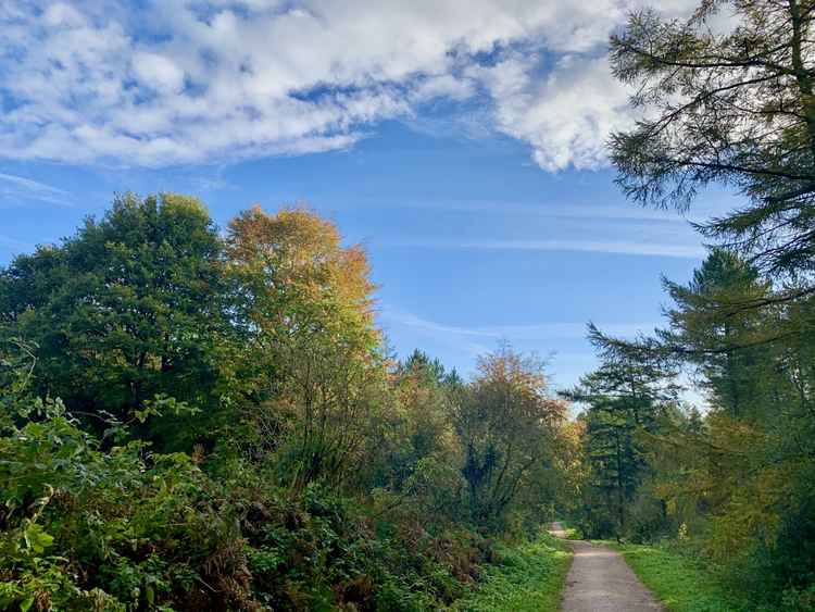 Entering the wood from the car park - watch out for Urchin's Kitchen along the way!