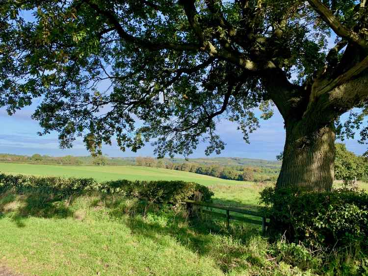 The view from Tirley Lane