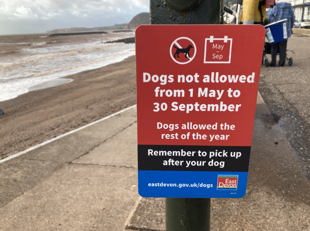 dog beach sign