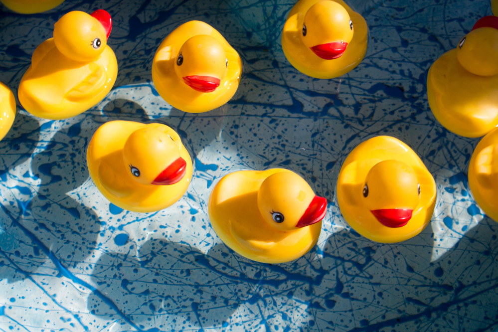 Get your ducks in a line at the Willow Foundation charity Duck Race. CREDIT: Unsplash