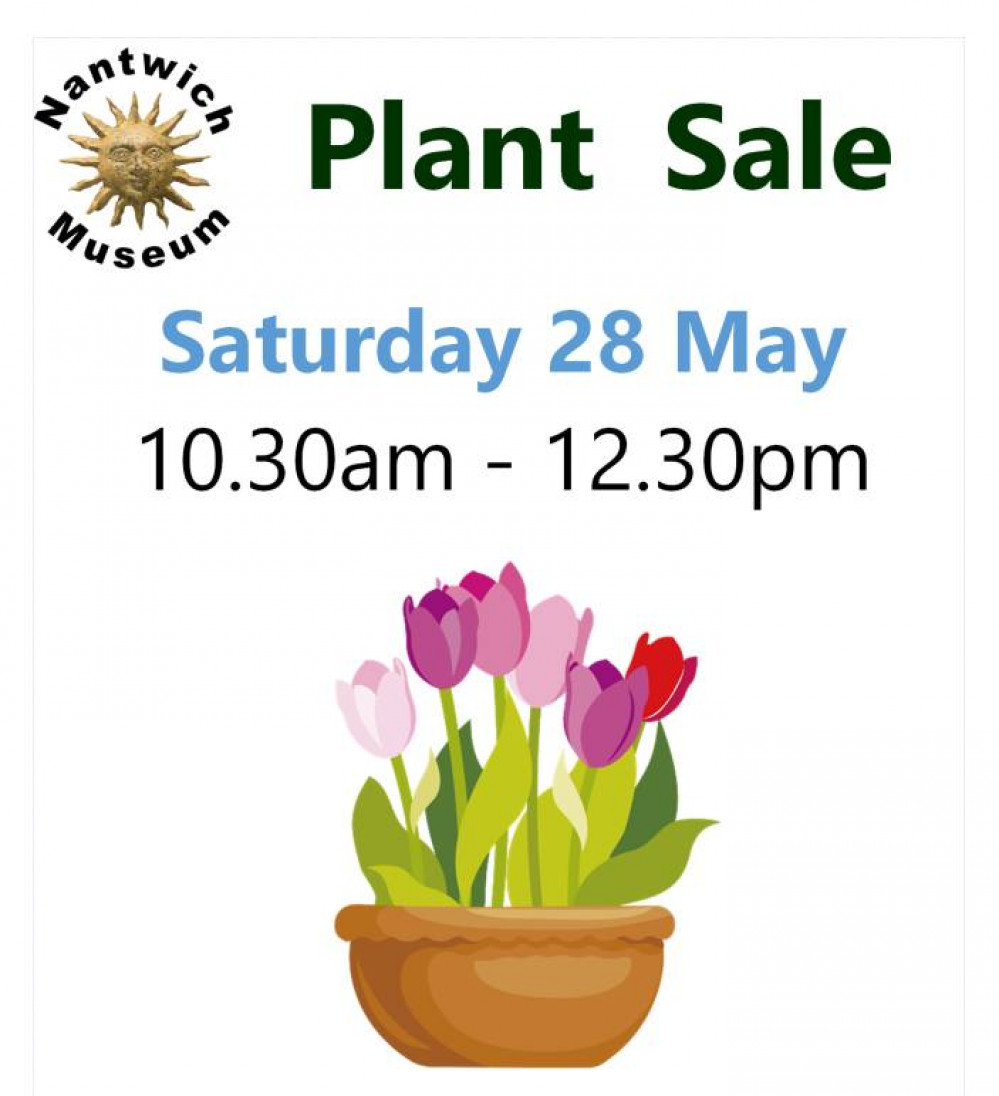 Plant Sale at Nantwich Museum.