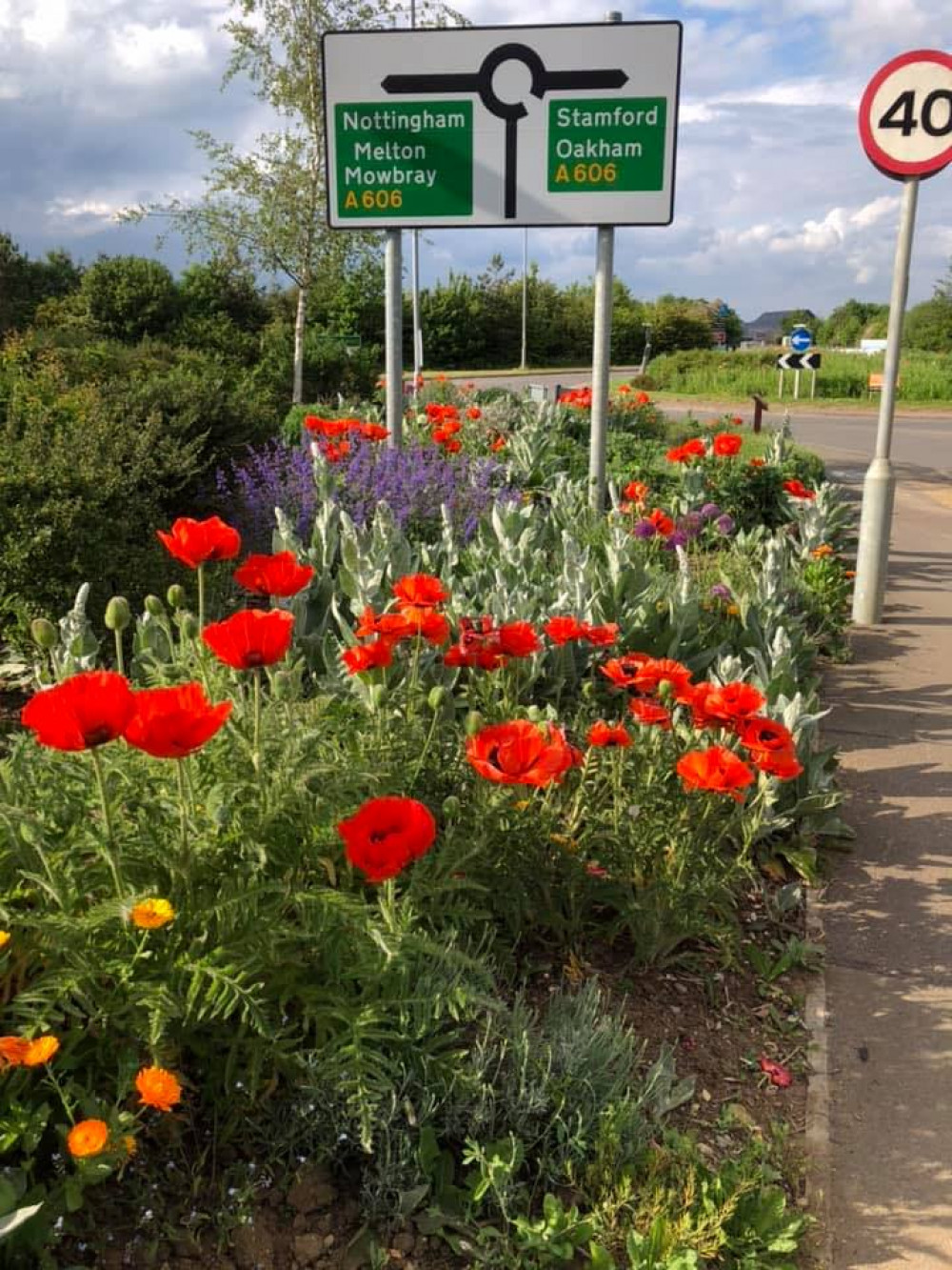 Oakham in Bloom flowers (image courtesy of OiB)