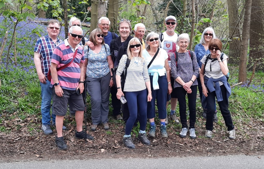 Limebrook u3a's Walking Group enjoy the bluebell woods