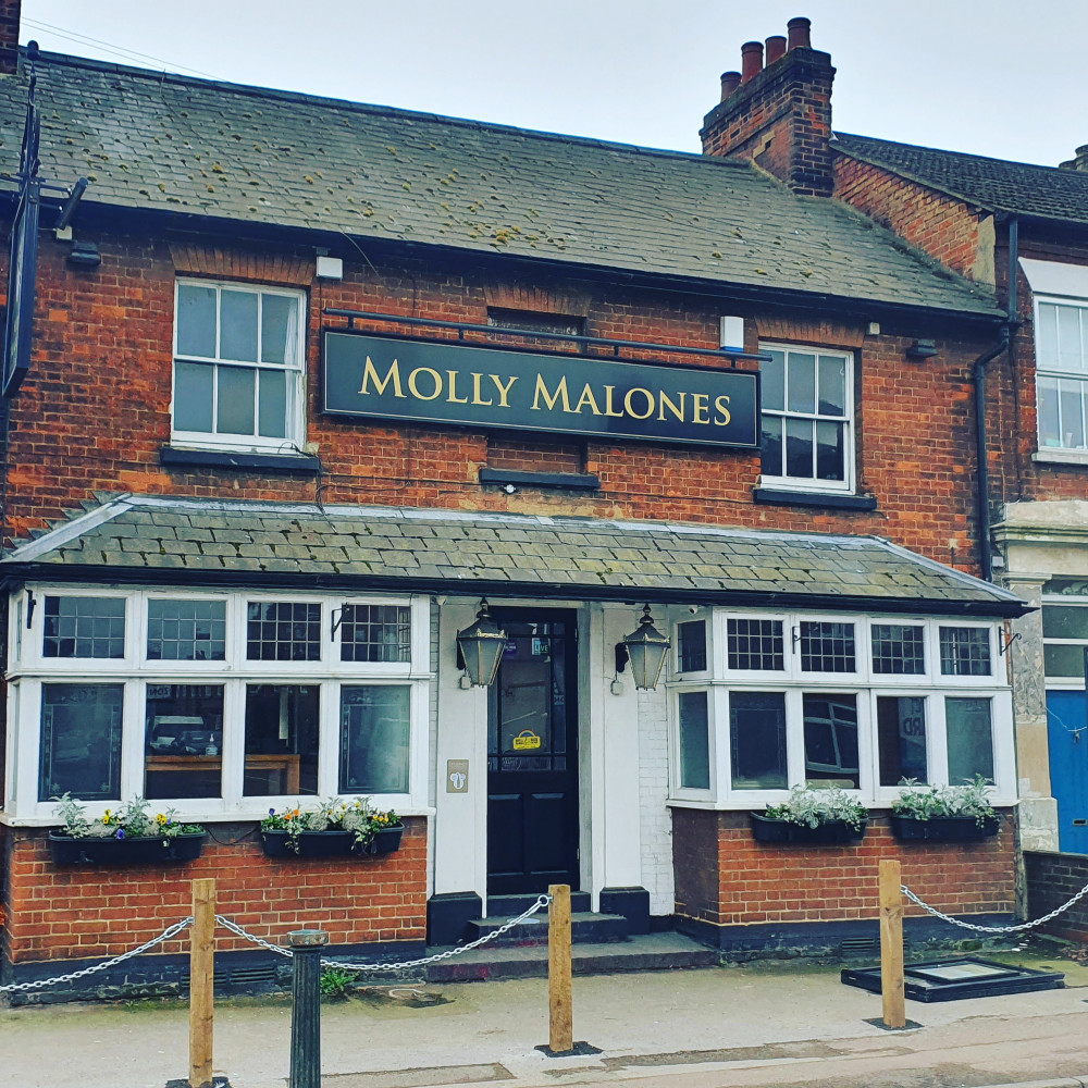 Head along to Molly Malone's for a night of live music 