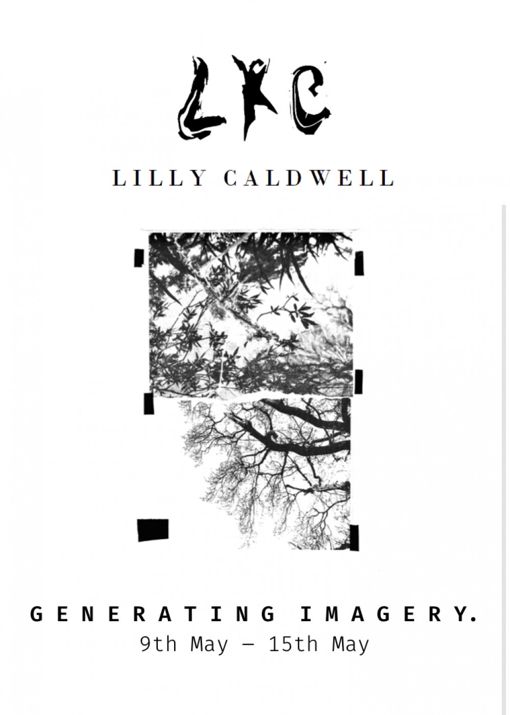 Lilly Caldwell flyer