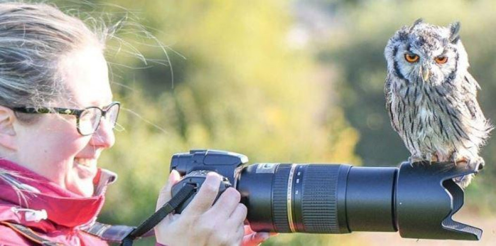 There's a Birds of Prey workshop on Sunday 