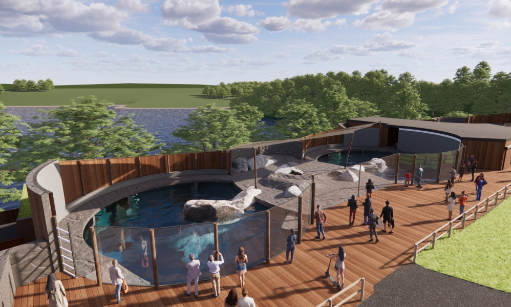 Architect impressions of the new Cornish Seal Sanctuary pools. 
