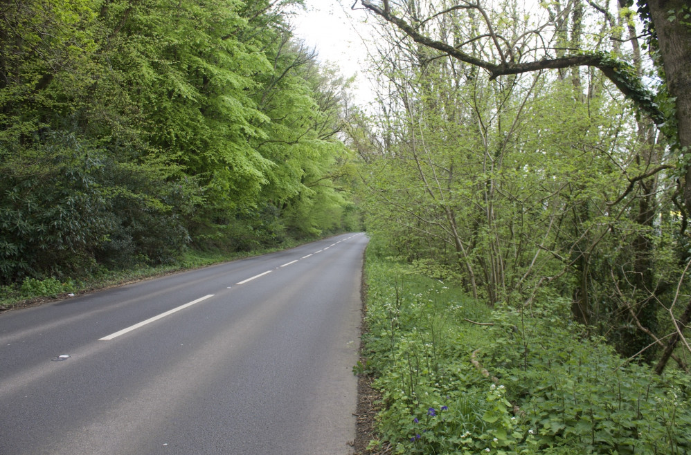 A section of the A3052 at Trow Hill, Sidmouth (Nub News, Will Goddard)