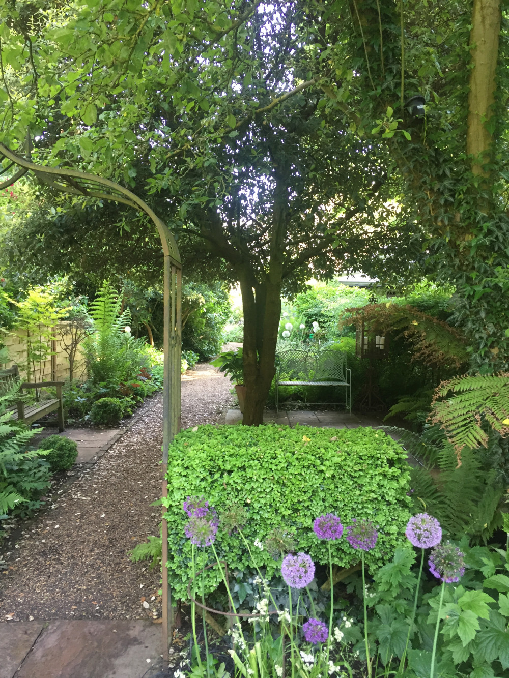 Enjoy a stroll through 5 long gardens on Kew Green in aid of the National Garden Scheme Charity. Live music, Plant sales and refreshments. Afternoon teas at St Anne’s Church, Kew Green. Admission £8.00.