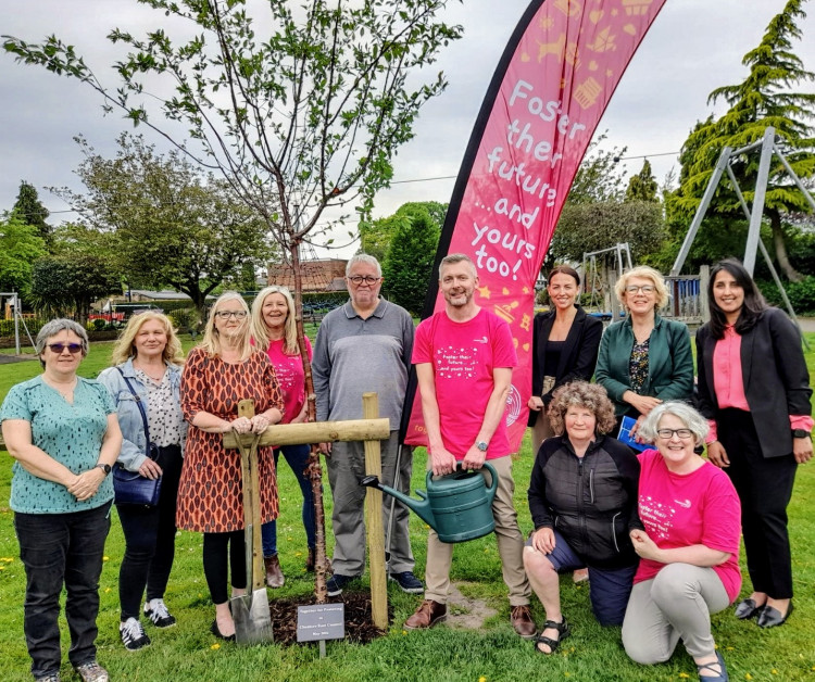 Cheshire East Council's fostering service has committed to planting a tree for every foster carer household Cheshire East Council).