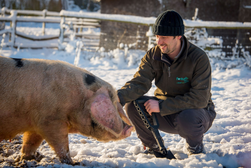 Photo Credit: Oliver Allan, Fordhall Organic Farm.