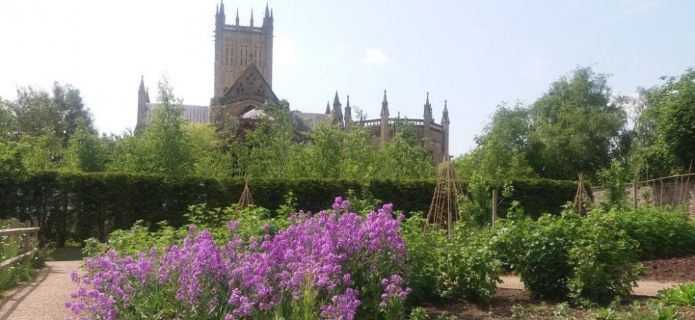 The Let's Get Growing workshop is being held at the Community Garden. Photo: Bishop's Palace