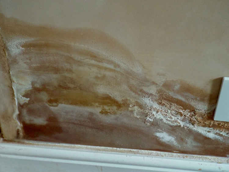 HGFC charity has failed to deal with damp at people's homes