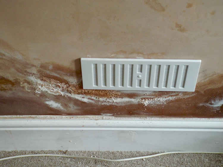 Another example of damp not been dealt with by