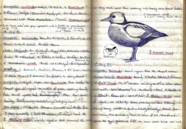 Bill's birding notebook from 1982, showing a sketch of a Stellers Eider