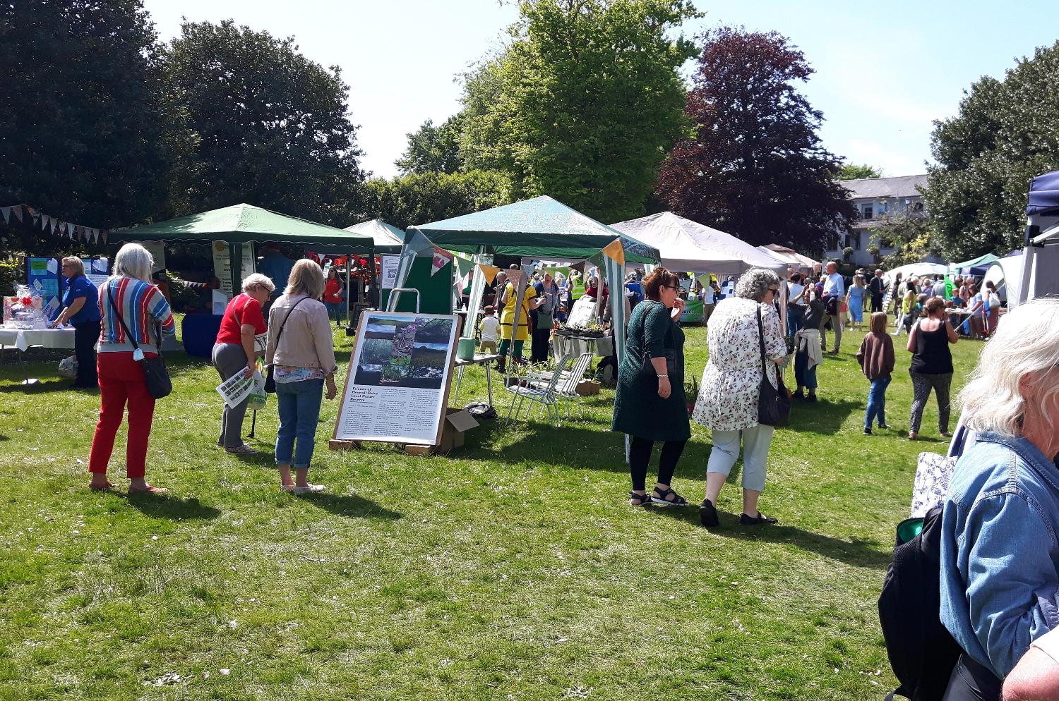 Cool stalls and guests...