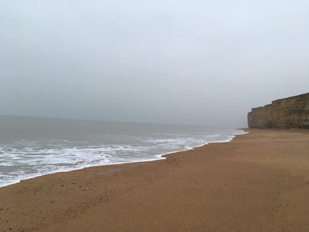 Join West Bay Discovery Centre and Dr Robert Chandler for a guided walk exploring the shoreline near Burton Bradstock