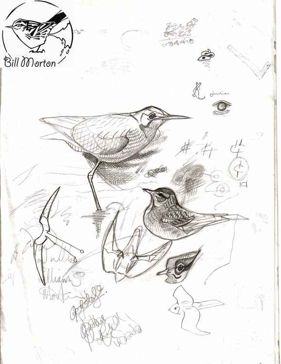 Some of Bill's pencil sketches