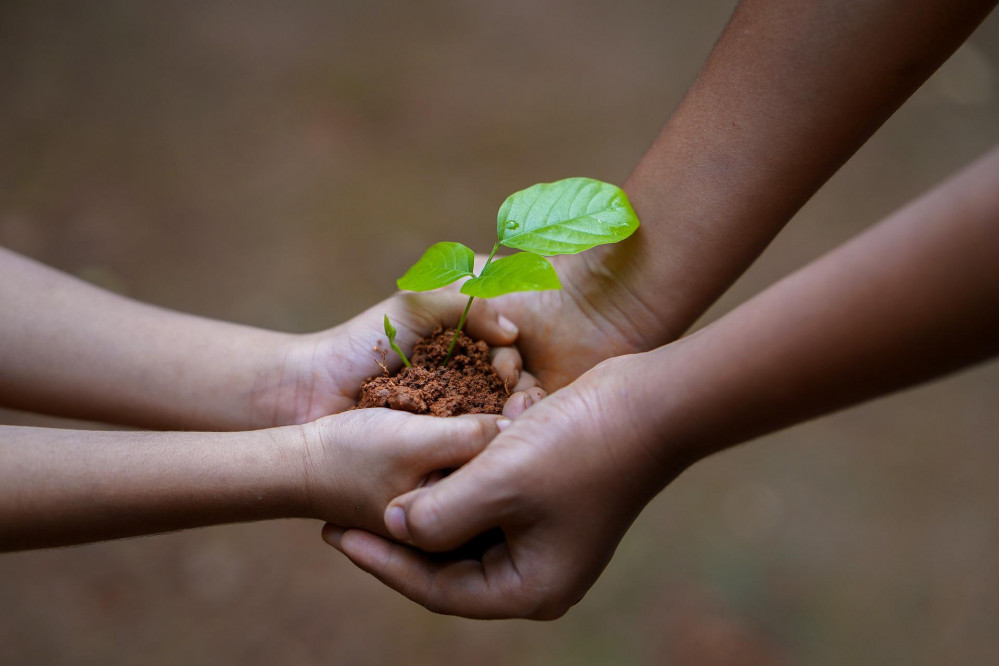 Come and swap your seeds