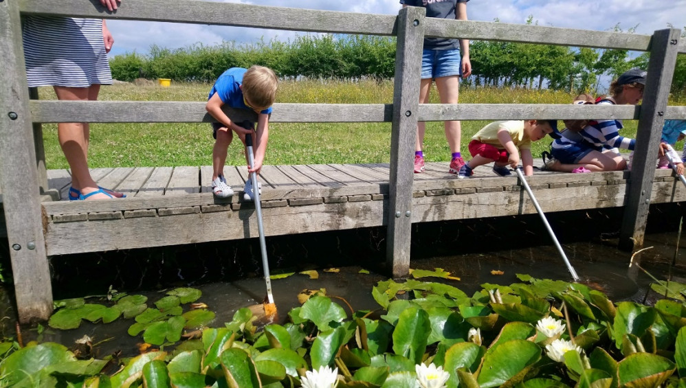 Pond dipping, another great outdoor activity to try (Photo: Essex Wildlife Trust)
