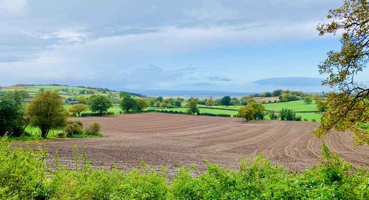 The view from Coppermine Lane