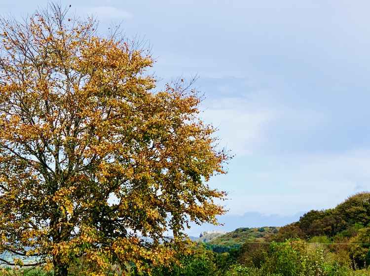 Can you spot Beeston Castle in the distance?