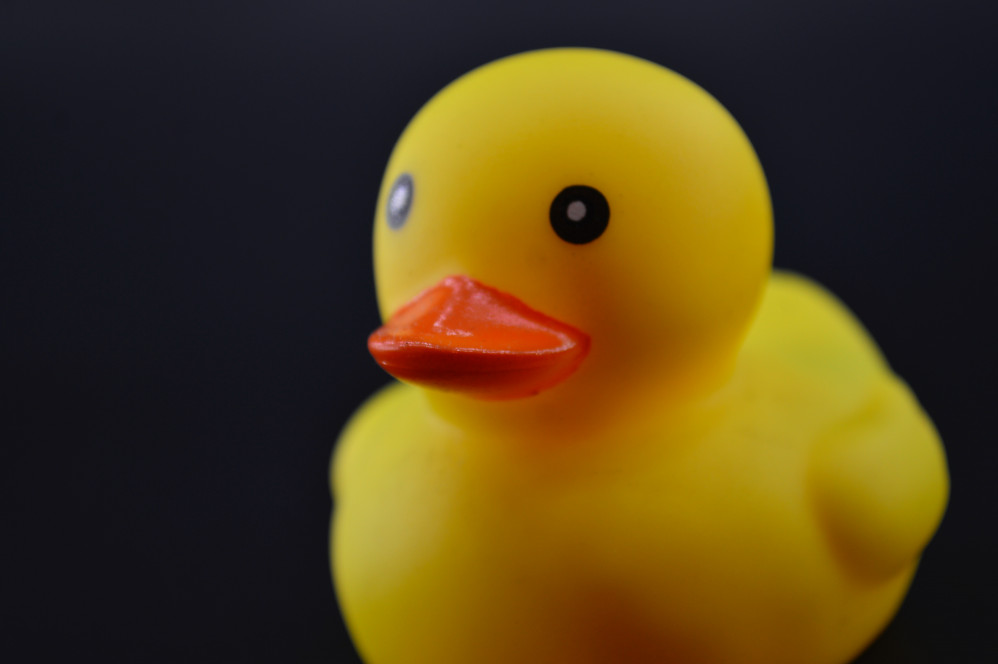 More than £6,000 was raised for the Willow Foundation during a recent charity Duck Race. CREDIT: Pexels 