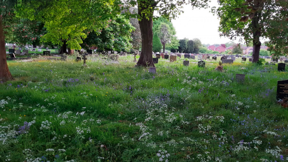 Some parts of Kenilworth Cemetery have been allowed to 'wild' (Image via Kenilworth Town Council / Cllr Richard Dickson)