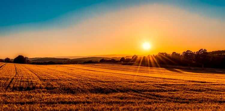 Sunrise over Hadleigh countryside