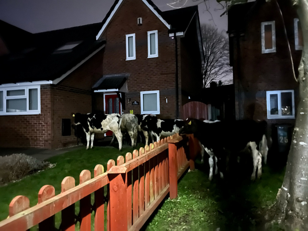 MOOVE ALONG: What would you do if this was on your doorstep? (Image - Cheshire Fire and Rescue / SWNS)