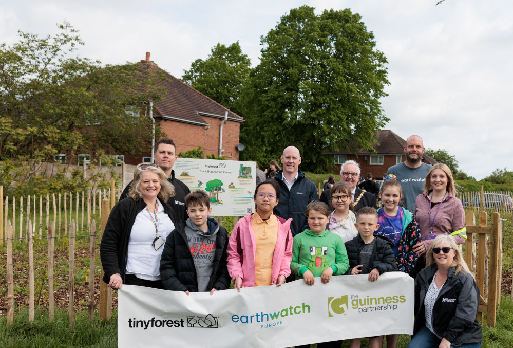 The tiny forest off Frank Boat Avenue, Crewe was planted by Earthwatch Europe on land supplied by The Guinness Partnership (The Guinness Partnership).