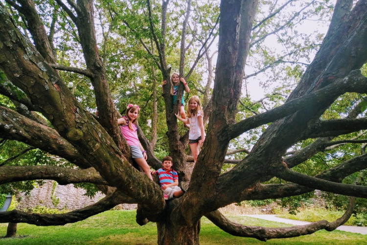 Family tree trail at the Bishop's Palace